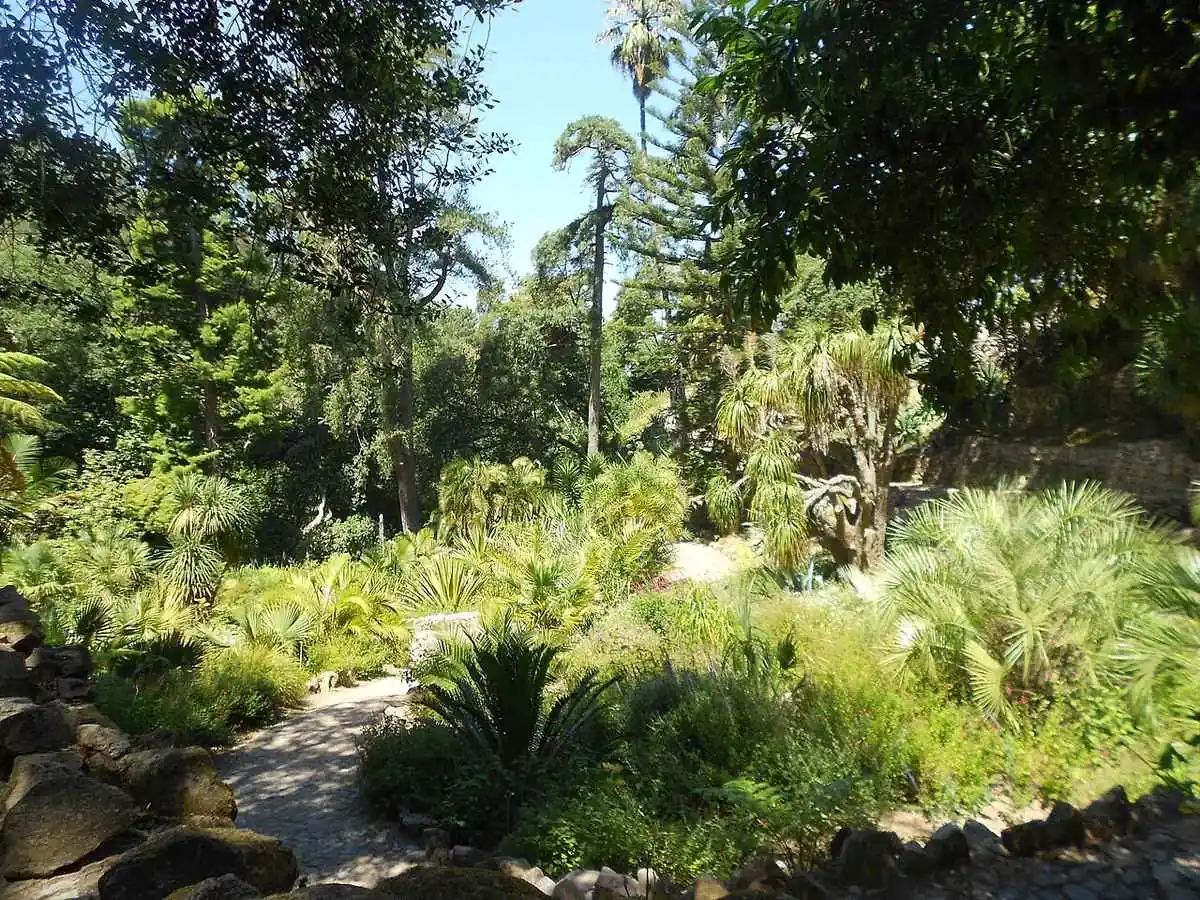Agaves, palmiers et plantes de climat sec le long d’un sentier dans le Jardin Mexicain