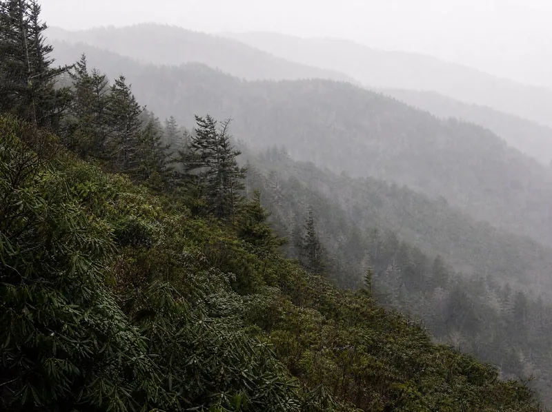 Rain over a wooded hillside, laurel and pine fading ridge behind ridge into grey